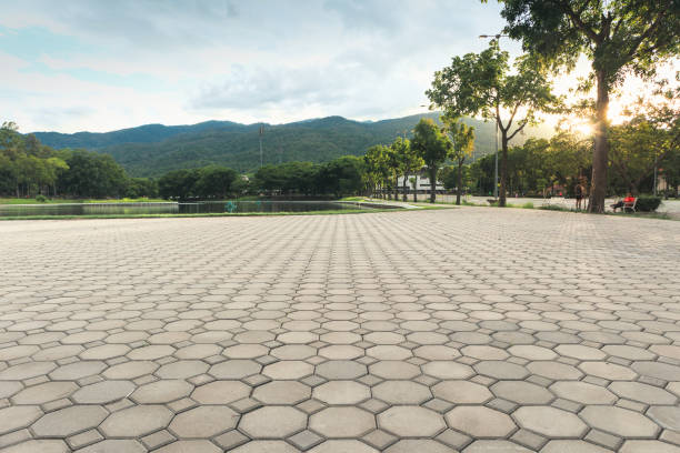 Best Concrete Paver Driveway  in Tuckerman, AR