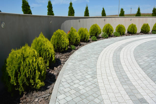 Best Best Driveway Pavers  in Tuckerman, AR